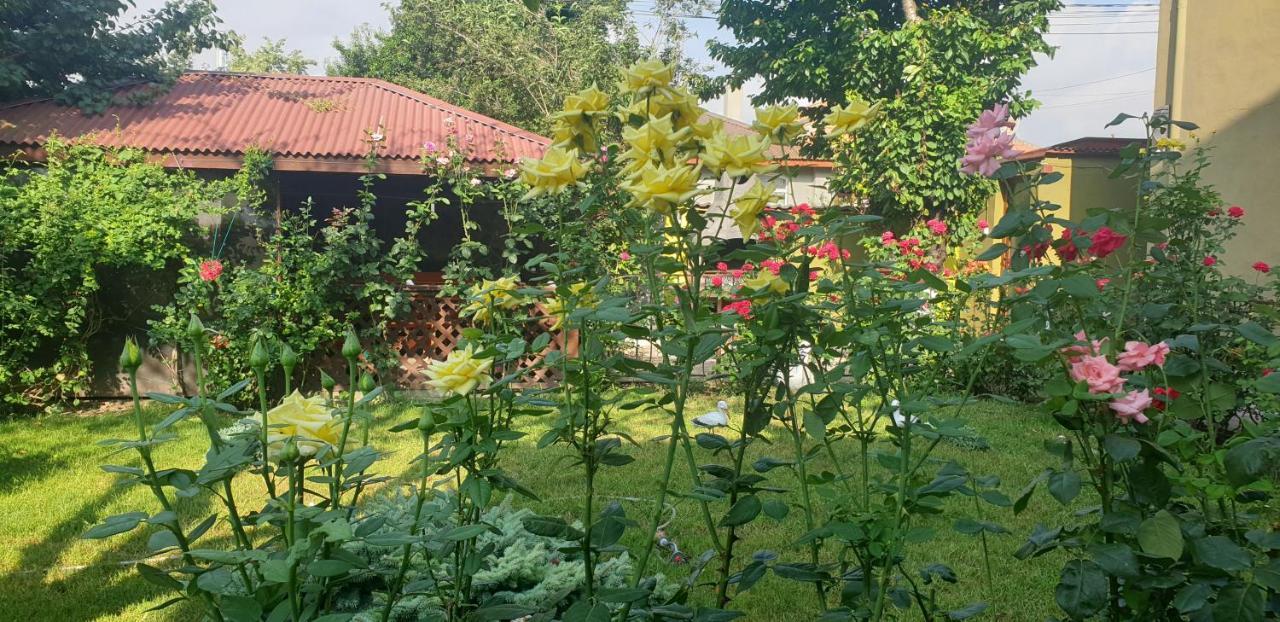 Villa Mugur Două Mai Extérieur photo