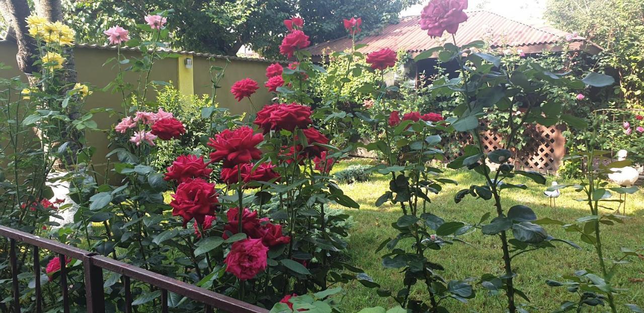 Villa Mugur Două Mai Extérieur photo